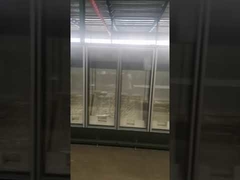 Frozen Foods Glass Door Freezer With Auto Evaporation Water Tray