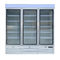 Commercial Upright Glass Door Freezer Fridge With Plug - In Secop Compressor