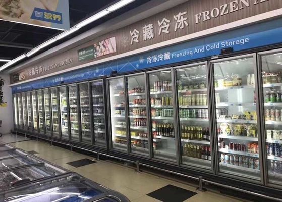 冷凍食品のためのCarelのサーモスタットの商業直立したフリーザー